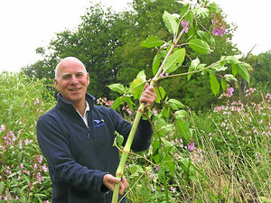 Supporting image for story: Shropshire riverbanks taken over by pink alien invasion