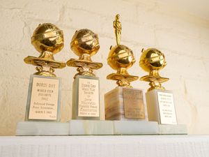 Supporting image for story: HFPA sells assets and rights to Golden Globes, marking organisational wind down