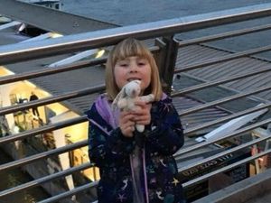 Supporting image for story: Kind strangers on Twitter are helping this little girl hunt for her lost bunny