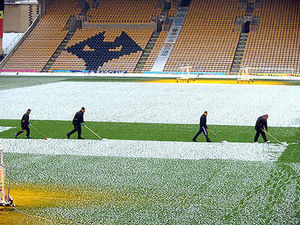 Supporting image for story: Wolves optimistic of game go-ahead