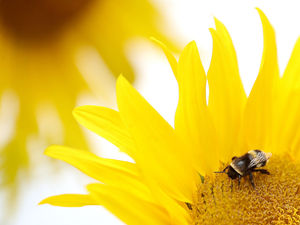 Supporting image for story: Star comment: Time for ministers to trust the regions on climate crisis