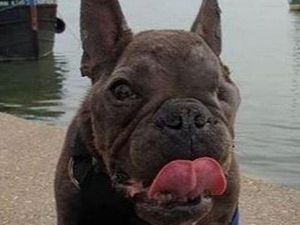 Supporting image for story