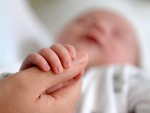 Supporting image for story: Full list of local fertility rates in England and Wales