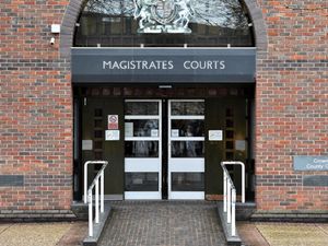 Supporting image for story: Woman, 35, spared jail for Jellycat toy thefts from garden centres