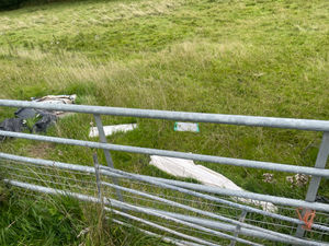 Stuart Anderson MP has called for a crackdown on littering in Shropshire after receiving complaints from residents