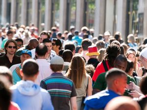 Supporting image for story: Net migration halves as fewer people come to UK for work and study