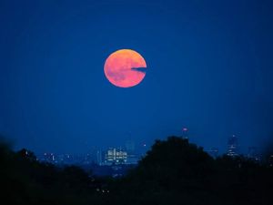 Supporting image for story: Once in a blue moon! Spectacular images show rare supermoon over region