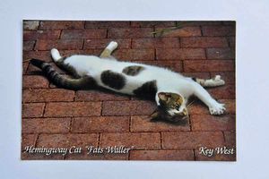 The front of the postcard depicting Ernest Hemingway's famous Fats Waller cat.