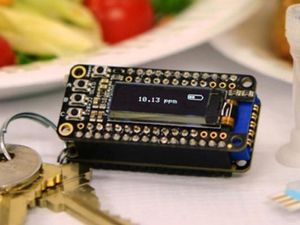 Supporting image for story: This £30 keychain that detects food allergens could save your life