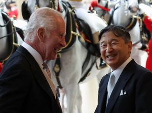 Supporting image for story: Ceremonial welcome for Emperor and Empress of Japan at start of state visit