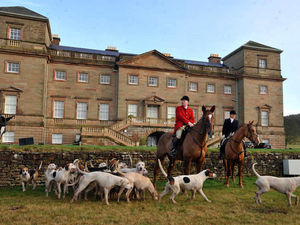 Supporting image for story: In pictures - The Albrighton Woodland Hunt at Hagley Hall