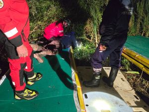 Supporting image for story: In pictures: See firefighters save submerged pony Patches from muddy pond