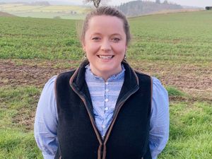 Supporting image for story: Shropshire firm appoint experienced chartered surveyor Ellen 