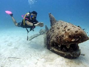 Supporting image for story: From kitchen to coral reefs: Former chef set for PhD in Thailand