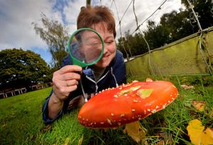 Supporting image for story