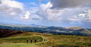 More and more young people are signing up 