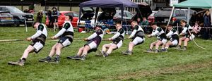 Brown Clee Men's Team