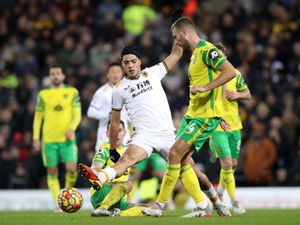 Supporting image for story: Dave Edwards: Wolves miss some attacking devilment away from Molineux