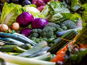 Supporting image for story: Andy Richardson: Trip to Hades to be tortured by vegetables in food hell