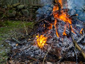 Supporting image for story: 60 complaints about bonfires since start of lockdown