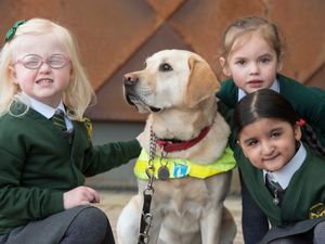 Supporting image for story: Nursery children raise £500 to sponsor three guide dog puppies