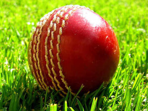 Supporting image for story: Shifnal skipper has a plan for Bromsgrove openers