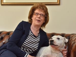 Supporting image for story: Meet Ice the dog who saved Market Drayton owner's life 