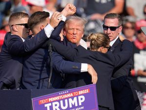 Supporting image for story: Fact check: Donald Trump shooting misinformation and GP patient numbers