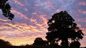 Dave James sent us this photo