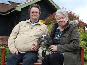 Supporting image for story: Foster carers have a tail to tell after looking after 25 dogs