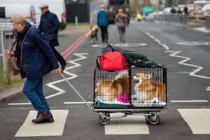 A visitor arriving at the Birmingham National Exhibition Centre (NEC) with a couple of corgis, for the third day of the Crufts Dog Show. PA Photo. Issue date: Saturday March 7, 2020. See PA story ANIMALS Crufts. Photo credit should read: Jacob King/PA Wire.