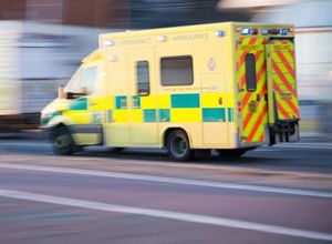 Supporting image for story