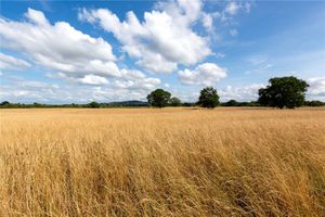 The land comprises Grade 2 and 3 soils. Picture: Savills/Rightmove