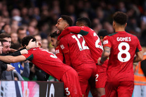 Wolves in dreamland (Getty)