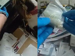 Supporting image for story: Moment police dog finds £16k worth of Class A drugs in Birmingham man’s home