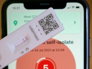 Supporting image for story: Lateral flow test orders ‘temporarily suspended’ on Government website