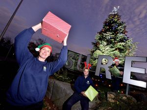 Supporting image for story: Merry sight for Salopians driving home for Christmas as 40ft tree unveiled
