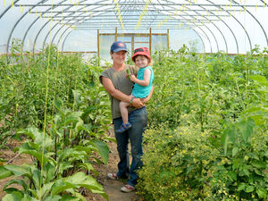 Supporting image for story: Small farms growing as interest in buying locally-produced veg jumps
