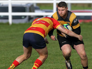 Supporting image for story: Brave Telford Hornets edged out by the leaders