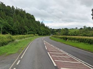 Supporting image for story: Major stretch of A-road connecting two Shropshire towns will close overnight for tree removal