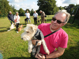 Supporting image for story: New dog training park opens in south Shropshire