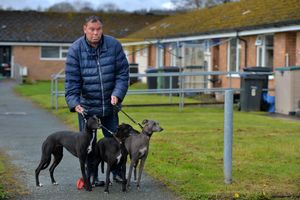 Joe Edwards 48, with his dogs, Blue, Lady and Badger