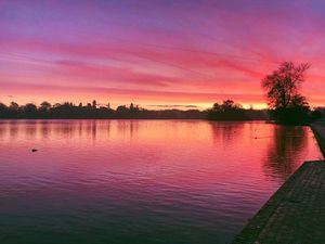Supporting image for story: Star Witness celebrates beautiful Shropshire - in pictures