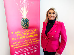 Supporting image for story: Midland hospitality firms urged to step up ahead of peak season