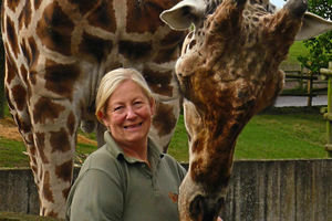 Supporting image for story: Woman who took temporary summer job at West Midlands Safari Park 40 years ago now in top job