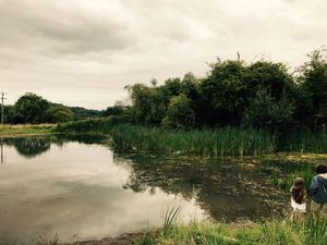 Supporting image for story: "Real gem" at Beeches Field in Ironbridge named a Local Nature Reserve