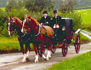 Graham driving a coach and horses.