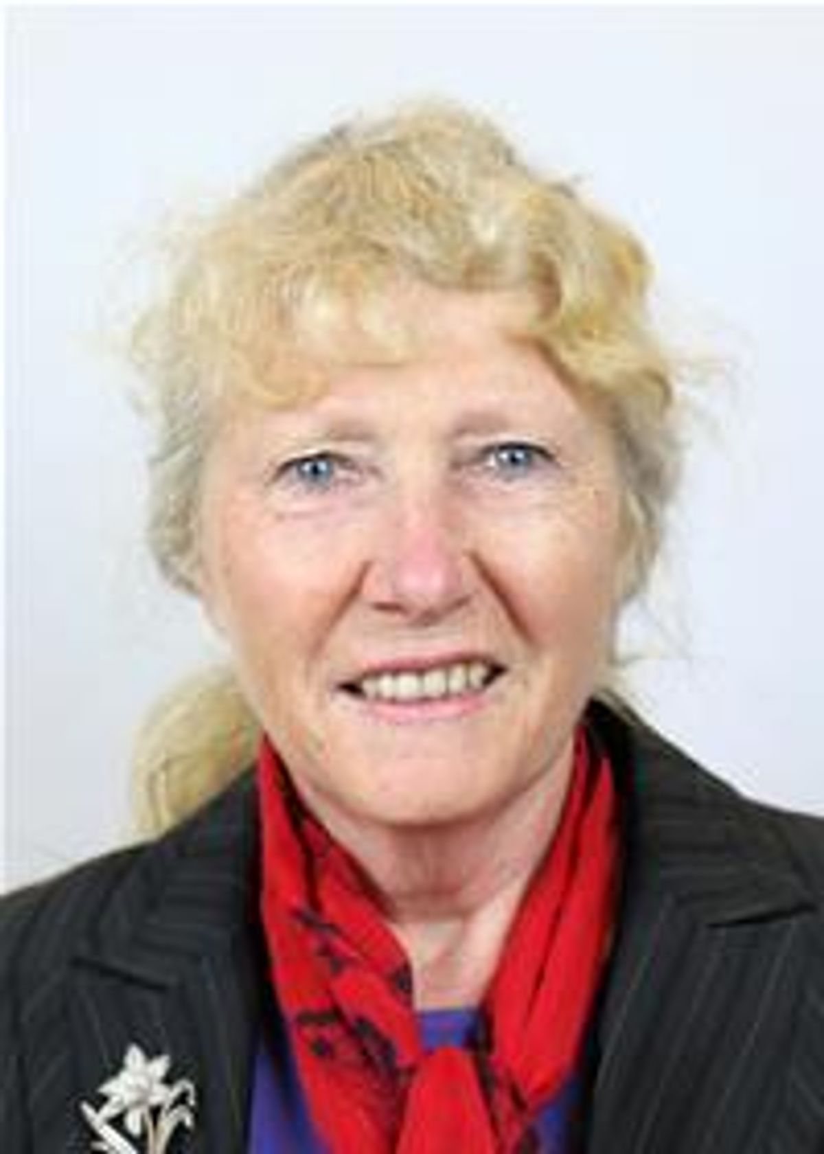 Powys council working to address breaches of the Welsh language standards on the lack of meeting agendas and minutes published in Welsh