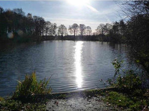 Supporting image for story: Calls for a Brownshore Pools friends group in Essington