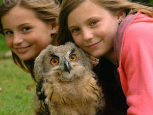 Supporting image for story: Shropshire family's pet is no ordinary bird